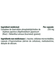 Quercetin Phytosome image 2