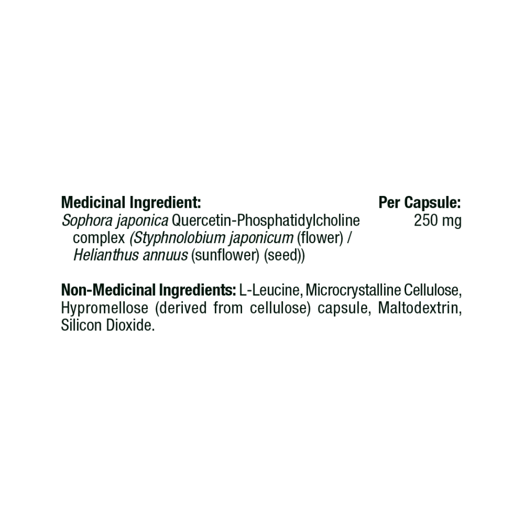 Quercetin Phytosome image 3